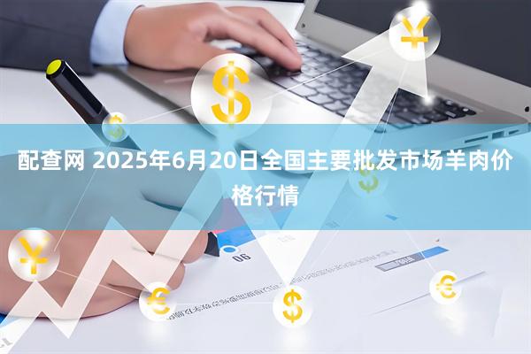 配查网 2025年6月20日全国主要批发市场羊肉价格行情