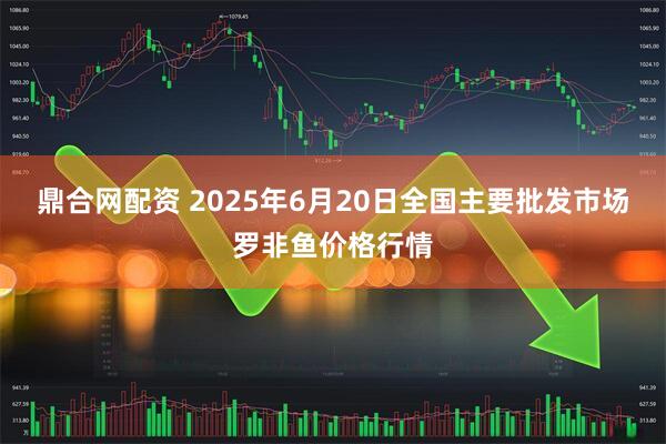 鼎合网配资 2025年6月20日全国主要批发市场罗非鱼价格行情