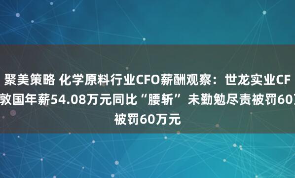 聚美策略 化学原料行业CFO薪酬观察：世龙实业CFO胡敦国年薪54.08万元同比“腰斩” 未勤勉尽责被罚60万元