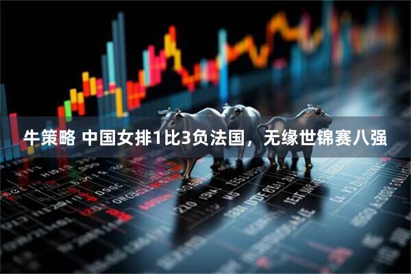 牛策略 中国女排1比3负法国，无缘世锦赛八强