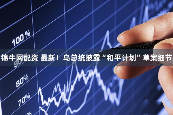 锦牛网配资 最新！乌总统披露“和平计划”草案细节