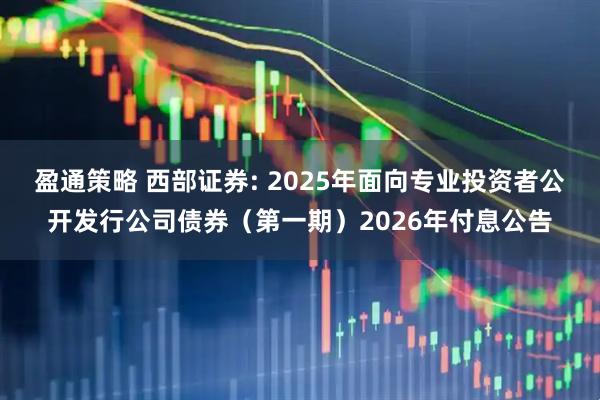 盈通策略 西部证券: 2025年面向专业投资者公开发行公司债券（第一期）2026年付息公告